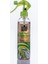 Multi Sprey Oleaster Iğde Çiçeği 350 ml 2