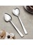 Çay Kaşığı Takımı 12'li 2,5 mm 1