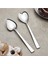 Çay Kaşığı Takımı 12'li 2,5 mm 2