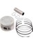 Piston Segman Seti Honda Cbf 150 1
