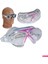 Pembe Unisex Yüzücü Deniz Gözlüğü Buğu Önleyici ve Silikon Bone ile Set 3