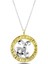 925 Ayar Gümüş Gold Koç Burcu Kadın Gümüş Kolye (T4921) (7272) 1