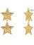 Shining Star Kadın Altın Kaplama Küpe 1