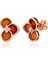 Bloom Flora Agate Kadın Altın Küpe 1