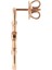 Horsebit Kadın Rose Gold Küpe 2