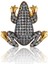 Mini Frog Kadın Altın Kaplama Piercing 1