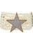 Superstellar Romanov Kadın Altın Kaplama Choker 1