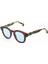 Pinus Jelly Brown Multicolor Unisex Güneş Gözlüğü 1