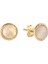 Sweet Moonstone Doğal Taş 14 Ayar Altın Kadın Küpe 1