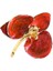 Orchid Kırmızı Kadın Altın Kaplama Broş 1