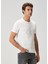 Kırık Beyaz Kabartmalı Logo Baskılı T-Shirt 4