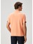 Kayısı Polo Yaka Logo Baskılı T-Shirt 6