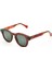 Pinus Jelly Brown Unisex Güneş Gözlüğü 1