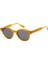 Harlem 6812 0 Oval Bal Rengi Unisex Güneş Gözlüğü 2