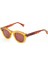 Pinus Daisy Jellybrown Unisex Güneş Gözlüğü 1