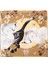 Cabala Swans Orchids Design Art Kadın Ipek Eşarp 1