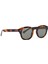 SNA1004 10TH Anniversary Havana Asetat Unisex Güneş Gözlüğü 2
