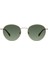 Xs Verona 6701 8 Oval Gümüş Bej Unisex Güneş Gözlüğü 1