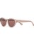Ds 2336 C3 Cat Eye Asetat Pudra Kadın Güneş Gözlüğü 2
