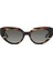 Xs Delilah 6720 Asetat 2 Cat Eye Havana Kadın Güneş Gözlüğü 1
