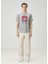 Gri Crinkle Dokulu T-Shirt 2