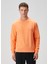 Somon Sweatshirt 1