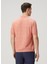 Pembe Polo Yaka Kısa Kollu Keten Triko 4
