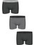 Black Logo Bantlı 3lü Boxer Seti 2