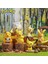 Pokemon Pokémon Sevimli Saldırı Sevimli Pikachu Araba Arabası Süslemeleri Bebek Modeli El Yapımı (Yurt Dışından) 1