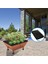 City Pickers Yedek Kapak 20 x 24 Inçlik Ekici Kutu Kapağı Bahçe Malçı Için 3'lü Paket Nakil Kiti (Yurt Dışından) 2