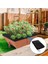 City Pickers Yedek Kapak 20 x 24 Inçlik Ekici Kutu Kapağı Bahçe Malçı Için 3'lü Paket Nakil Kiti (Yurt Dışından) 5