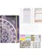 Set A6 Bütçe Klasörü, Fermuarlı Zarflı Klasör, Para Planlayıcı Klasörü, Nakit Için Para Düzenleyici, Klasör, A (Yurt Dışından) 2