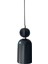 Paloma Pendant Siyah Metal LED Avize 1