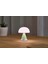 x Pantone Mina Mint Orta Boy LED Masa Lambası 2