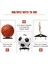 Akrilik Top Standı Tutucu, Basketbol Futbol Voleybol Futbol Rugby Topları Için Spor Topu Depolama Vitrin 2 Paket (Yurt Dışından) 2