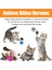 22 Adet Kedi Oyuncakları Interaktif Kapalı Kediler Için Tünel Fare Yavru Oyuncaklar Kedi Tüyü Teaser Değnek Bahar Oyuncak (Yurt Dışından) 5