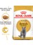 British Shorthair Adult Yetişkin Kedi Maması 10 Kg 1