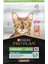 Sterilised Somonlu Kedi Maması - 10 Kg 2