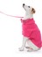 I Woof U Pembe Köpek Hoodie 3