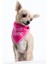 Boss Babe Pembe Köpek Bandana 2