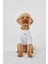 Beyaz Köpek T-Shirt 3