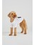 Beyaz Köpek T-Shirt 4
