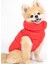 Puffer Kırmızı Köpek Yeleği 3