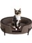 Bed Dream Day Gri Kedi ve Köpek Yatağı 1
