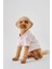 Pembe Düğmeli Köpek Gömleği 3