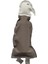 Marico Bird Toy Yeşil Köpek Oyuncağı 1