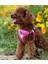 Oxford Kumaşlı Pembe Mesh Köpek Göğüs Tasması 4