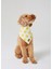 Açık Sarı Güneş Desenli Köpek Bandana 3