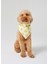 Açık Sarı Güneş Desenli Köpek Bandana 4