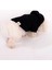 Jet Black Hoodie Siyah Köpek Kıyafeti 3